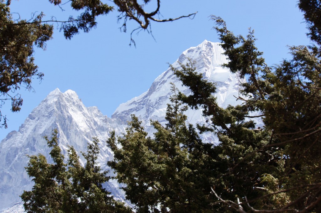 Pangboche is a lovely village with plenty of evergreen trees.