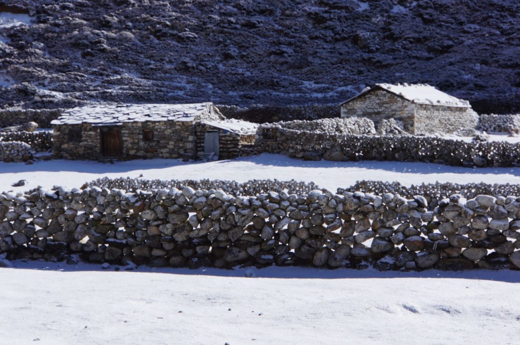 Stone fences and pristine yak paddies... everything looks clean and new under the snow.