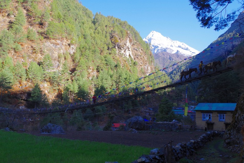Our first crossing of the Dudh Kosi today. (Photo: Kim Hess)