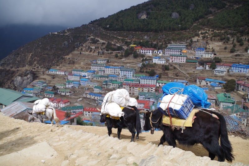 Namche photographed from the new dental clinic.  (Photo: Kim Hess)