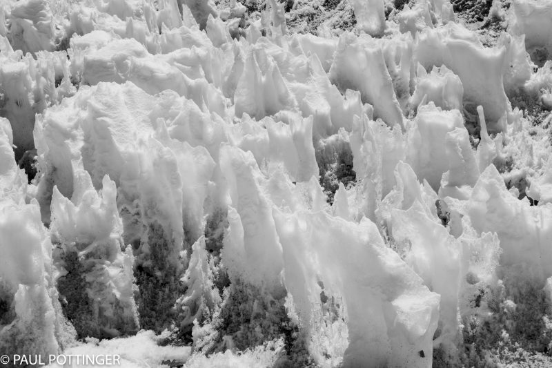 Suncupping twists the ice into beautiful shapes... these formations remind me of sea sponges.